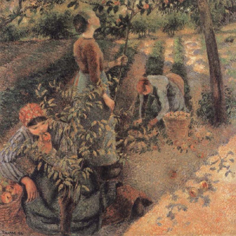 Camille Pissarro The Apple Pickers oil painting image